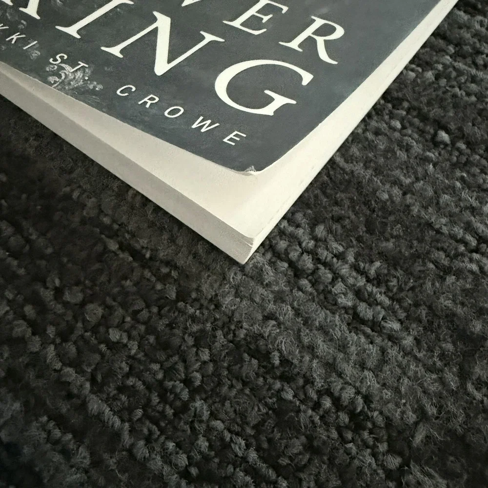 The Never King Vicious Lost Boys Nikki St‎ Crowe Book Paperback